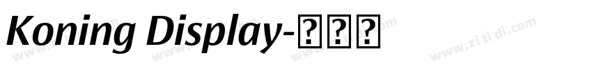 Koning Display字体转换